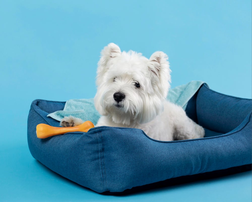 Cama ortopédica para perros