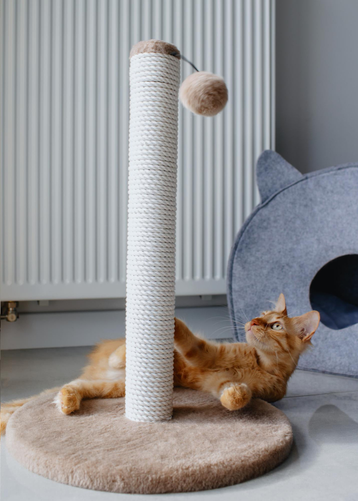 Rascador para gatos con poste alto